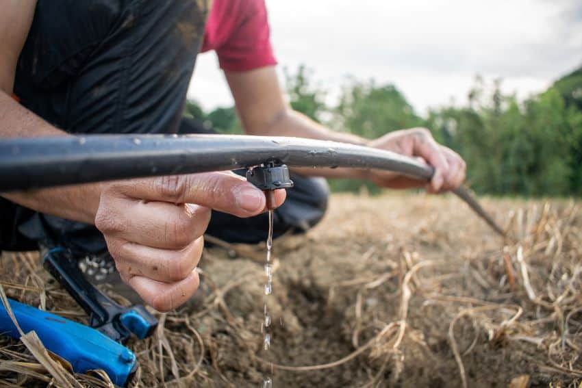 ¿El sector agrícola de México está experimentando una crisis hídrica?